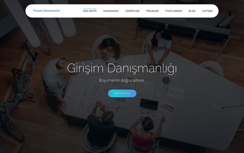 Danışmanlık Girişim web sitesi ana sayfa önizlemesi