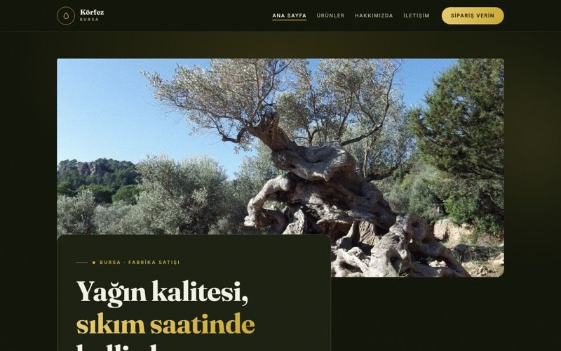 Körfez Zeytinyağı teması
