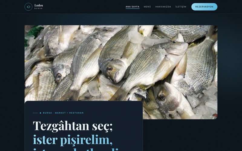 Lodos Balıkçılık hazır web sitesi teması ana sayfa önizlemesi
