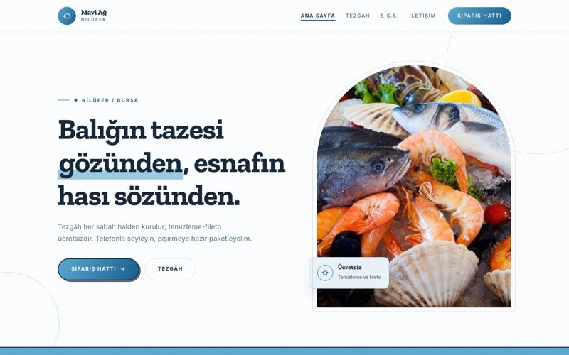 Mavi Ağ Balıkçılık hazır web sitesi teması ana sayfa önizlemesi