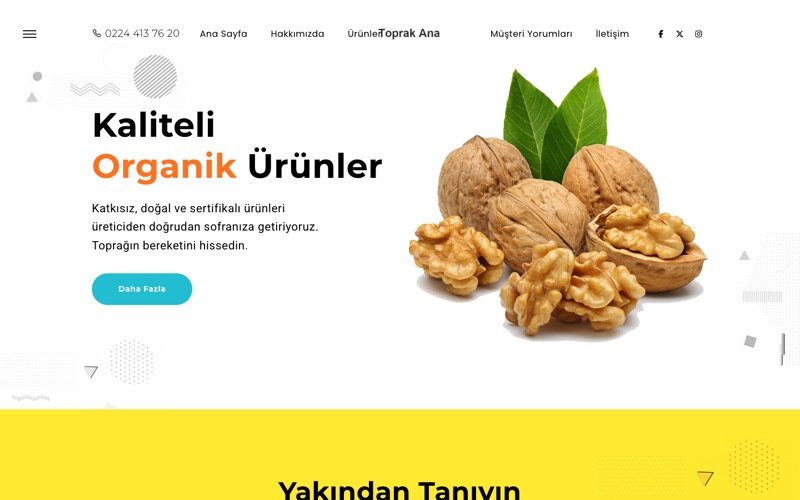 Organik Ürünler web sitesi ana sayfa önizlemesi