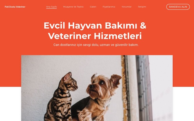 Pati Dostu Veteriner web sitesi ana sayfa önizlemesi