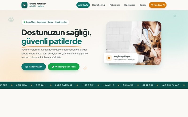 Patiline Veteriner Kliniği hazır web sitesi teması ana sayfa önizlemesi