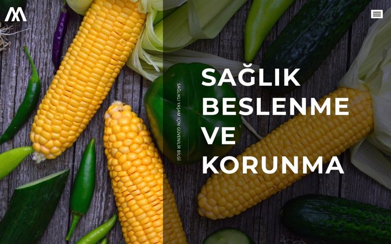 Şifa Günlüğü web sitesi ana sayfa önizlemesi