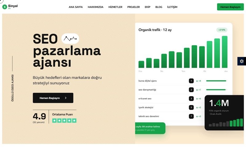 Sinyal SEO web sitesi ana sayfa önizlemesi