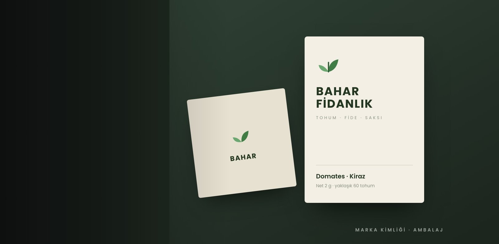 Bahar Fidanlık tohum paketi ve ambalaj tasarımı