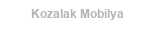 müşteri logosu