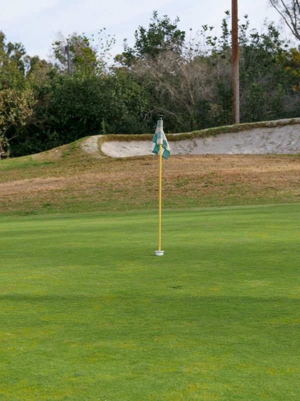 blog görseli