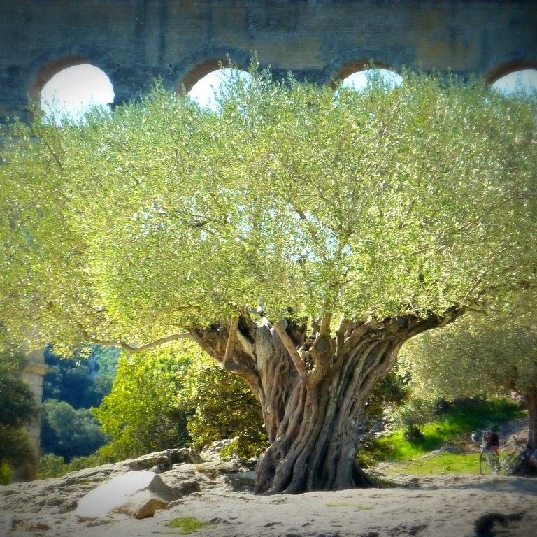 Şişeleme