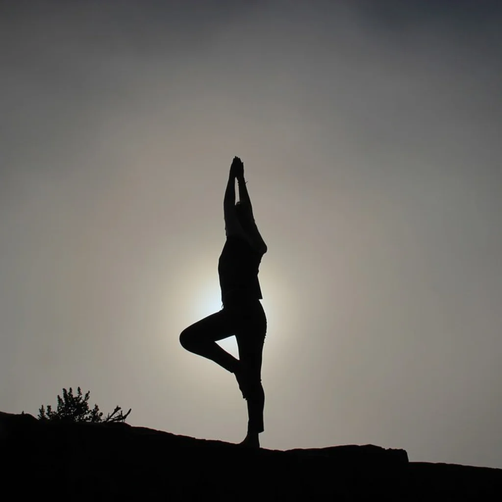Fly yoga hamakları