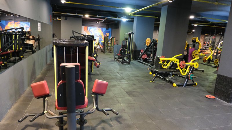 Titan Fitness makine antrenman salonu